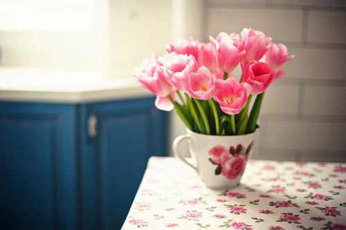 тюльпаны в доме
