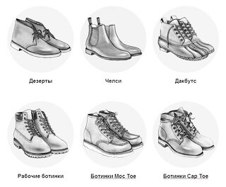 разновидности женских ботинок